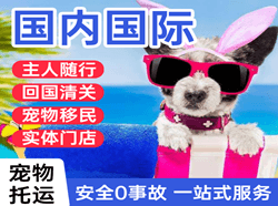 武汉天河机场快递国际宠物托运 【国